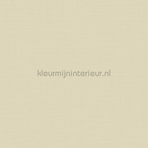 Hookedonwalls New Wave 24811 | Bestellen bij https://www.kleurmijninterieur.nl/