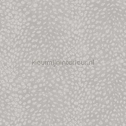 Khroma Cabinet of Curiosities CAB802 | Bestellen bij https://www.kleurmijninterieur.nl/