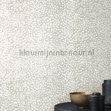 Khroma Cabinet of Curiosities CAB802 | Bestellen bij https://www.kleurmijninterieur.nl/