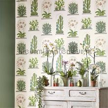 Sanderson Glasshouse 216656 | Bestellen bij https://www.kleurmijninterieur.nl/