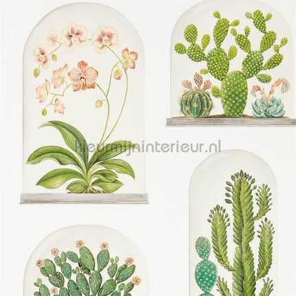 Sanderson Glasshouse 216655 | Bestellen bij https://www.kleurmijninterieur.nl/