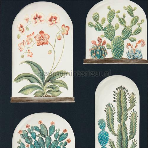 Sanderson Glasshouse 216658 | Bestellen bij https://www.kleurmijninterieur.nl/