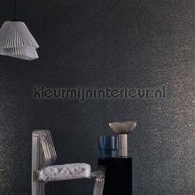 Casamance Metal textures 75043680 | Bestellen bij https://www.kleurmijninterieur.nl/