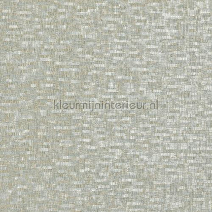 Casamance Metal textures 75043476 | Bestellen bij https://www.kleurmijninterieur.nl/