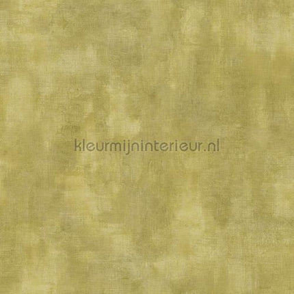 Hookedonwalls Leopard Walk TA25007 | Bestellen bij https://www.kleurmijninterieur.nl/