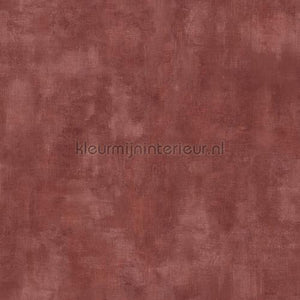 Hookedonwalls Leopard Walk TA25008 | Bestellen bij https://www.kleurmijninterieur.nl/