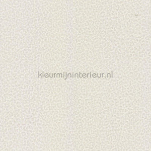 Dutch First Class Roberto Cavalli 8 19016 | Bestellen bij https://www.kleurmijninterieur.nl/