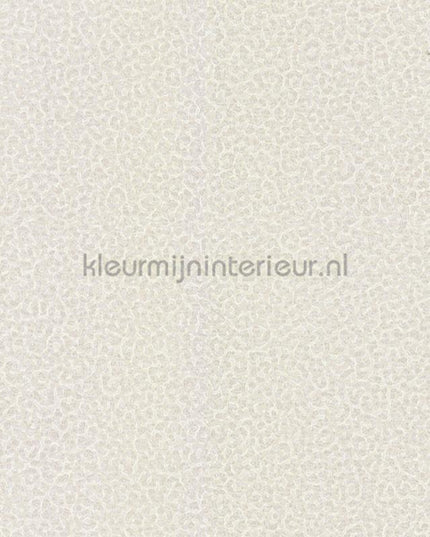 Dutch First Class Roberto Cavalli 8 19016 | Bestellen bij https://www.kleurmijninterieur.nl/