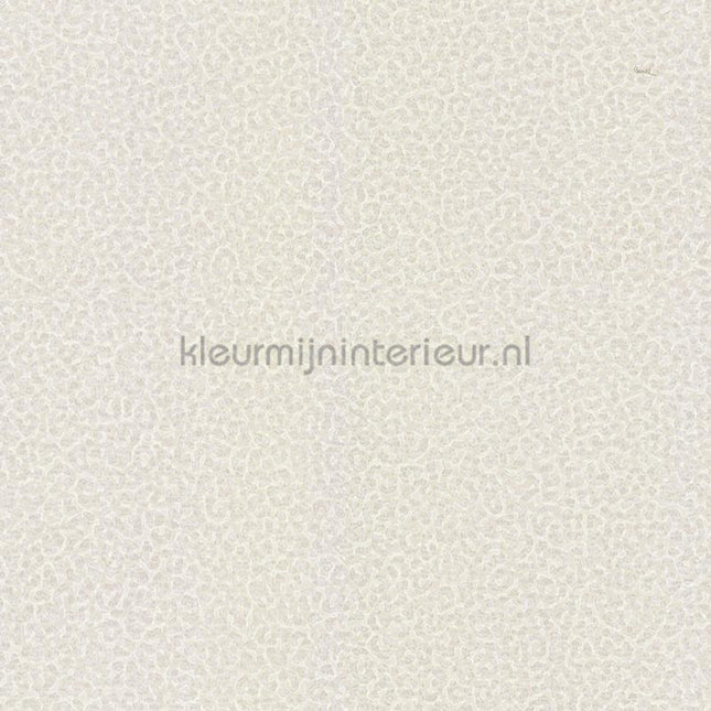 Dutch First Class Roberto Cavalli 8 19016 | Bestellen bij https://www.kleurmijninterieur.nl/