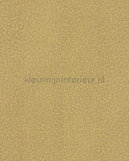 Dutch First Class Roberto Cavalli 8 19017 | Bestellen bij https://www.kleurmijninterieur.nl/