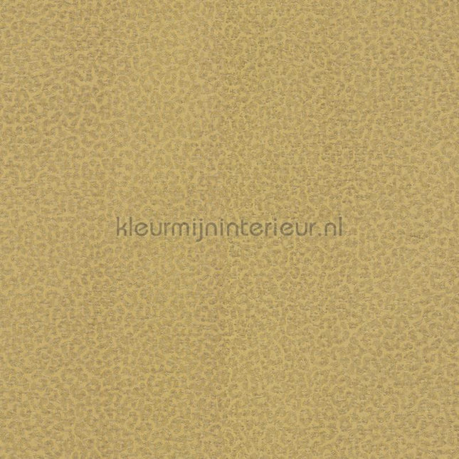 Dutch First Class Roberto Cavalli 8 19017 | Bestellen bij https://www.kleurmijninterieur.nl/