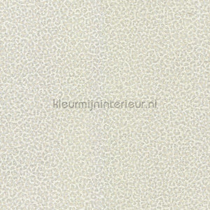 Dutch First Class Roberto Cavalli 8 19018 | Bestellen bij https://www.kleurmijninterieur.nl/
