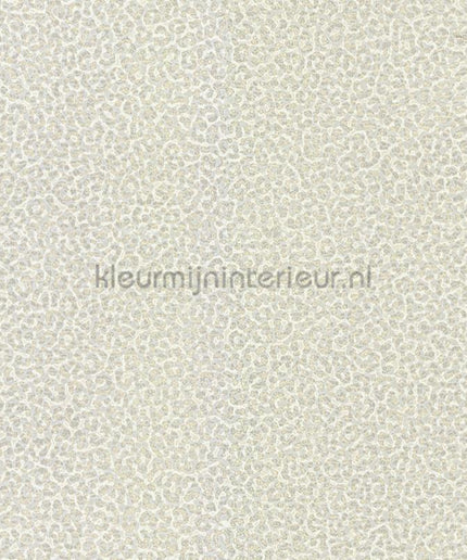 Dutch First Class Roberto Cavalli 8 19018 | Bestellen bij https://www.kleurmijninterieur.nl/