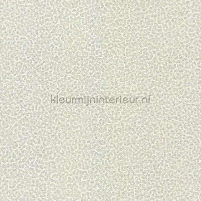 Dutch First Class Roberto Cavalli 8 19018 | Bestellen bij https://www.kleurmijninterieur.nl/