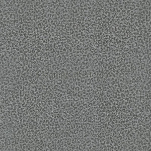 Dutch First Class Roberto Cavalli 8 19019 | Bestellen bij https://www.kleurmijninterieur.nl/
