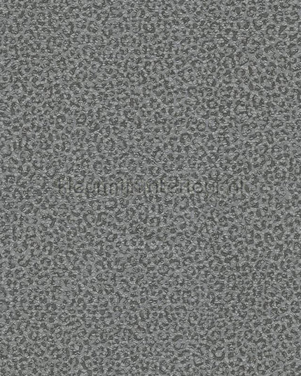 Dutch First Class Roberto Cavalli 8 19019 | Bestellen bij https://www.kleurmijninterieur.nl/