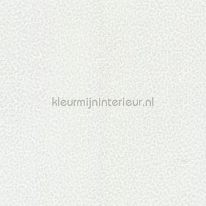 Dutch First Class Roberto Cavalli 8 19020 | Bestellen bij https://www.kleurmijninterieur.nl/