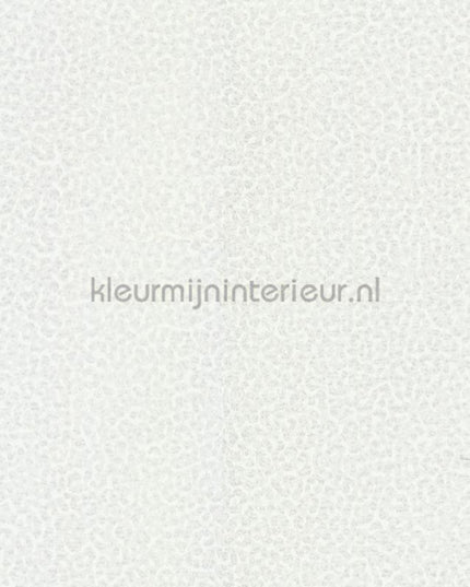 Dutch First Class Roberto Cavalli 8 19020 | Bestellen bij https://www.kleurmijninterieur.nl/