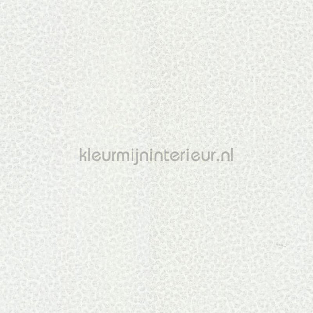 Dutch First Class Roberto Cavalli 8 19020 | Bestellen bij https://www.kleurmijninterieur.nl/