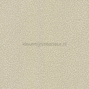 Dutch First Class Roberto Cavalli 8 19021 | Bestellen bij https://www.kleurmijninterieur.nl/