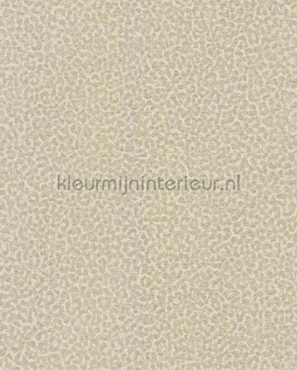 Dutch First Class Roberto Cavalli 8 19021 | Bestellen bij https://www.kleurmijninterieur.nl/
