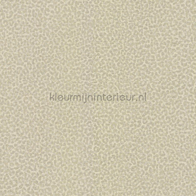 Dutch First Class Roberto Cavalli 8 19021 | Bestellen bij https://www.kleurmijninterieur.nl/
