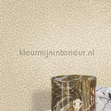 Dutch First Class Roberto Cavalli 8 19021 | Bestellen bij https://www.kleurmijninterieur.nl/