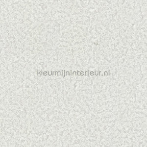 Dutch First Class Roberto Cavalli 8 19024 | Bestellen bij https://www.kleurmijninterieur.nl/