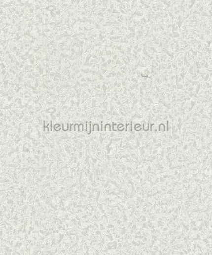 Dutch First Class Roberto Cavalli 8 19024 | Bestellen bij https://www.kleurmijninterieur.nl/
