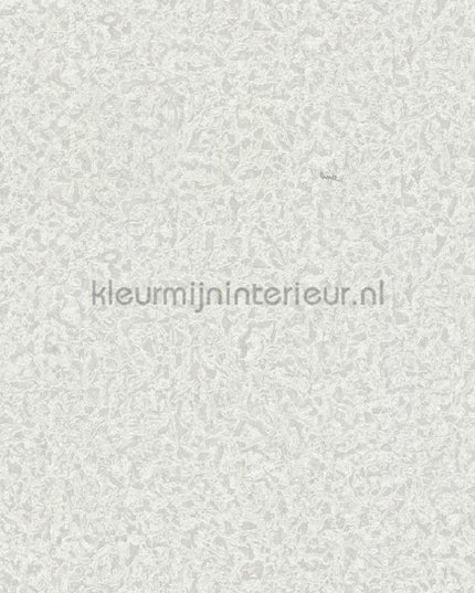 Dutch First Class Roberto Cavalli 8 19024 | Bestellen bij https://www.kleurmijninterieur.nl/