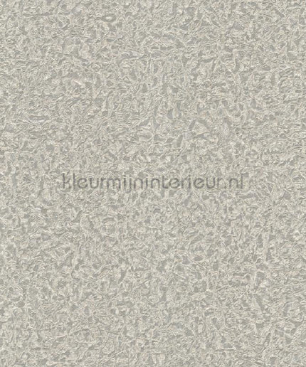 Dutch First Class Roberto Cavalli 8 19027 | Bestellen bij https://www.kleurmijninterieur.nl/