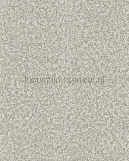 Dutch First Class Roberto Cavalli 8 19027 | Bestellen bij https://www.kleurmijninterieur.nl/