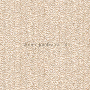 Dutch Wallcoverings Exclusive Threads TP422964 | Bestellen bij https://www.kleurmijninterieur.nl/