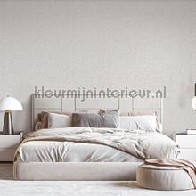 Dutch Wallcoverings Exclusive Threads TP422963 | Bestellen bij https://www.kleurmijninterieur.nl/