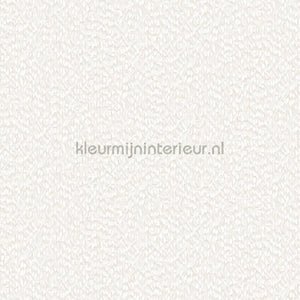 Dutch Wallcoverings Exclusive Threads TP422961 | Bestellen bij https://www.kleurmijninterieur.nl/