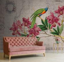Livingwalls ARTist dd119717 | Bestellen bij https://www.kleurmijninterieur.nl/