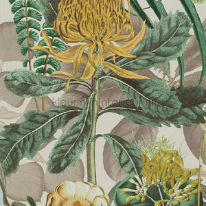 Omexco Birds of Paradise BOP601 | Bestellen bij https://www.kleurmijninterieur.nl/