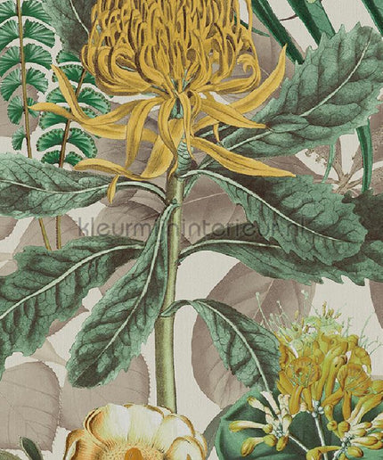 Omexco Birds of Paradise BOP601 | Bestellen bij https://www.kleurmijninterieur.nl/