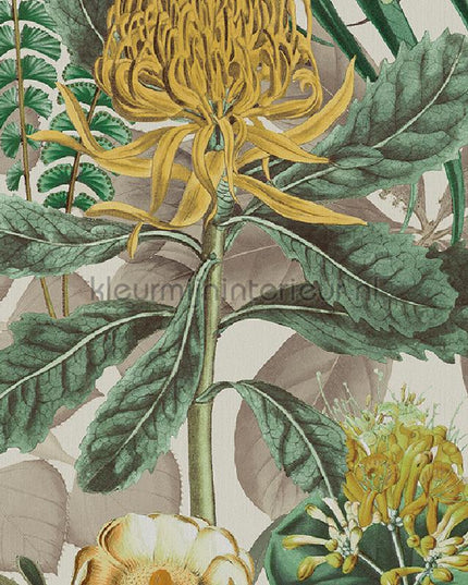Omexco Birds of Paradise BOP601 | Bestellen bij https://www.kleurmijninterieur.nl/