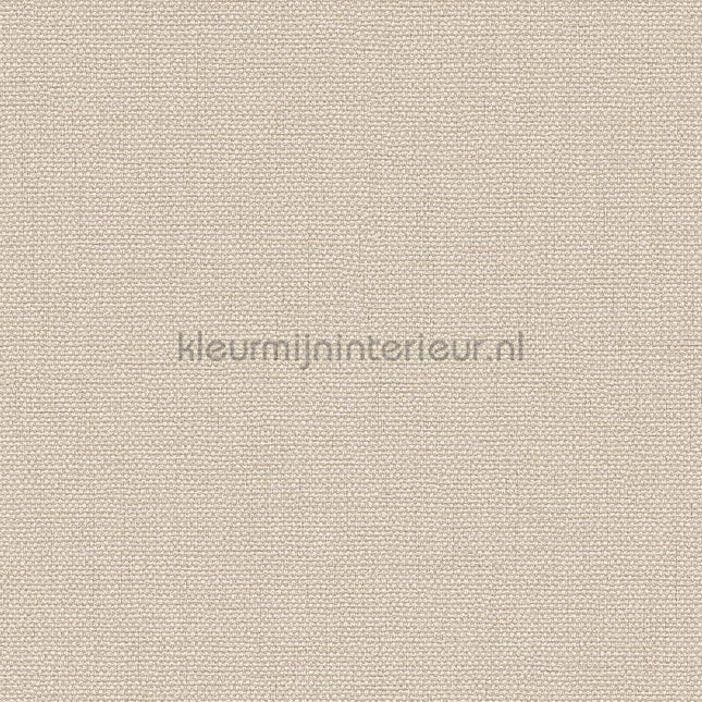 Dutch Wallcoverings Exclusive Threads TP422942 | Bestellen bij https://www.kleurmijninterieur.nl/