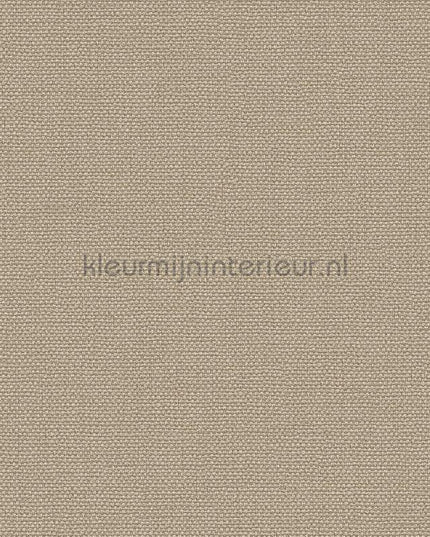 Dutch Wallcoverings Exclusive Threads TP422944 | Bestellen bij https://www.kleurmijninterieur.nl/