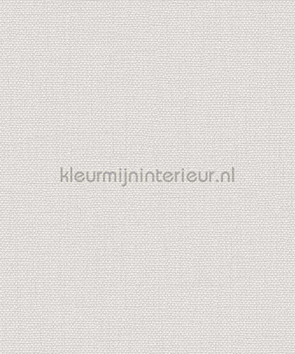 Dutch Wallcoverings Exclusive Threads TP422941 | Bestellen bij https://www.kleurmijninterieur.nl/