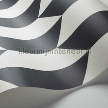 Cole and Son Geometric II 105-12050 | Bestellen bij https://www.kleurmijninterieur.nl/