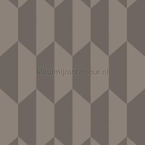 Cole and Son Geometric II 105-12051 | Bestellen bij https://www.kleurmijninterieur.nl/