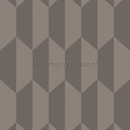Cole and Son Geometric II 105-12051 | Bestellen bij https://www.kleurmijninterieur.nl/