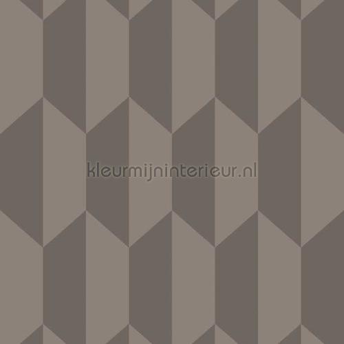 Cole and Son Geometric II 105-12051 | Bestellen bij https://www.kleurmijninterieur.nl/