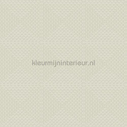 Hookedonwalls New Wave 24828 | Bestellen bij https://www.kleurmijninterieur.nl/