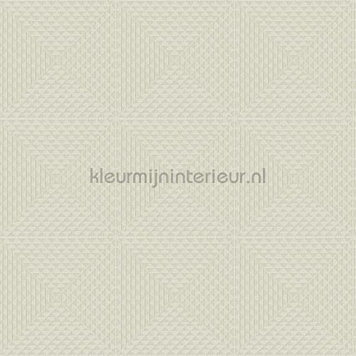 Hookedonwalls New Wave 24828 | Bestellen bij https://www.kleurmijninterieur.nl/
