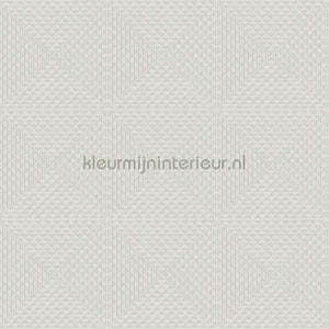 Hookedonwalls New Wave 24829 | Bestellen bij https://www.kleurmijninterieur.nl/