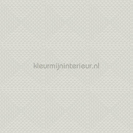 Hookedonwalls New Wave 24829 | Bestellen bij https://www.kleurmijninterieur.nl/